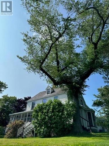 14 Kennas Hill, St. John'S, NL - Outdoor