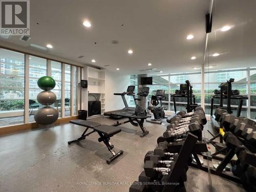 303 - 81 Navy Wharf Court, Toronto, ON - Indoor Photo Showing Gym Room