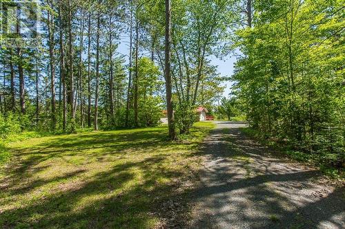 272 Kensington Point Rd|Johnson Township, Desbarats, ON - Outdoor With View