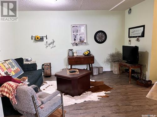 231 & 233 18Th Avenue Ne, Swift Current, SK - Indoor Photo Showing Living Room