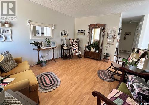 231 & 233 18Th Avenue Ne, Swift Current, SK - Indoor Photo Showing Living Room