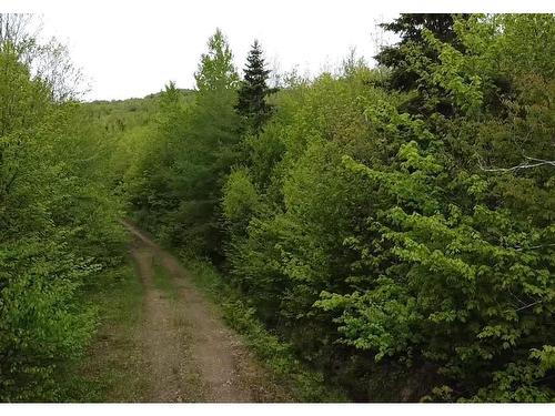 Lot 6 West Side Ainslie Glen Road, West Lake Ainslie, NS 