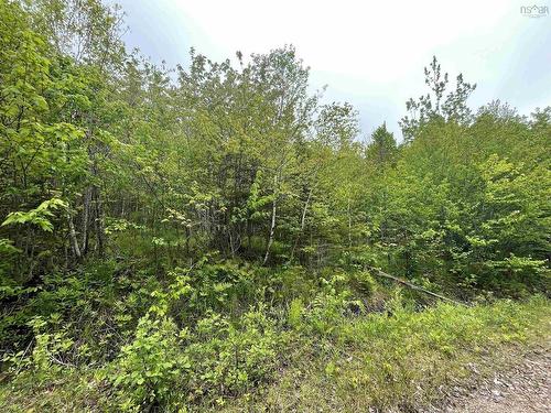 Lot 6 West Side Ainslie Glen Road, West Lake Ainslie, NS 