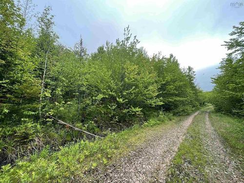 Lot 6 West Side Ainslie Glen Road, West Lake Ainslie, NS 