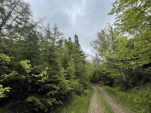 Lot 6 West Side Ainslie Glen Road, West Lake Ainslie, NS 