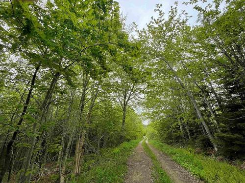 Lot 6 West Side Ainslie Glen Road, West Lake Ainslie, NS 