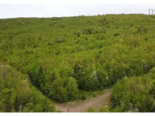 Lot 6 West Side Ainslie Glen Road, West Lake Ainslie, NS 