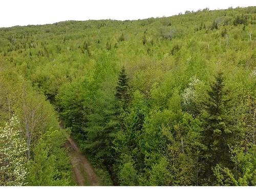 Lot 6 West Side Ainslie Glen Road, West Lake Ainslie, NS 