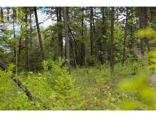 13821 Talbot Road, Lake Country, BC - Outdoor With View