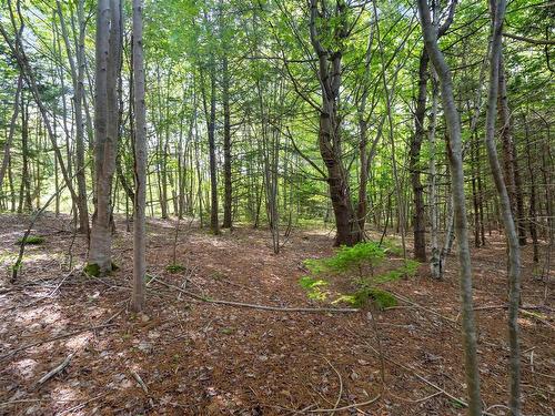 27 Copperhead Road, Fall River, NS 