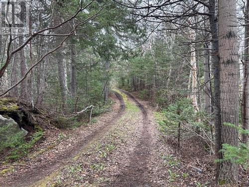 51 Birchy Point Road, Campbellton, NL - Outdoor With View