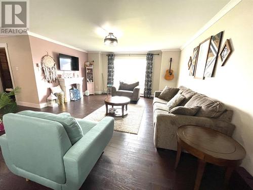 65 Harmsworth Drive, Grand Falls-Windsor, NL - Indoor Photo Showing Living Room