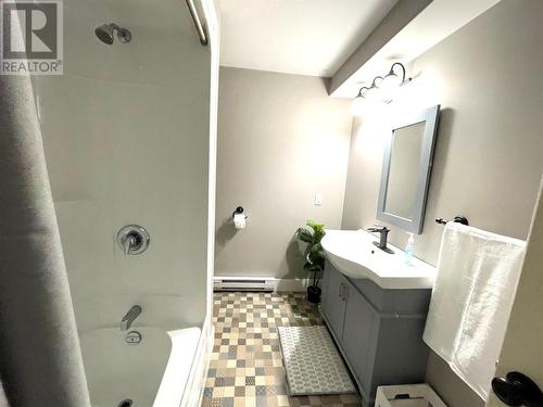 65 Harmsworth Drive, Grand Falls-Windsor, NL - Indoor Photo Showing Bathroom