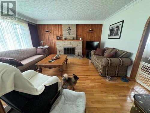 127 Road To The Isles Highway, Loon Bay, NL - Indoor Photo Showing Living Room With Fireplace