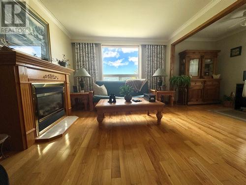 127 Road To The Isles Highway, Loon Bay, NL - Indoor Photo Showing Living Room With Fireplace