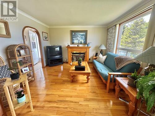 127 Road To The Isles Highway, Loon Bay, NL - Indoor Photo Showing Living Room With Fireplace