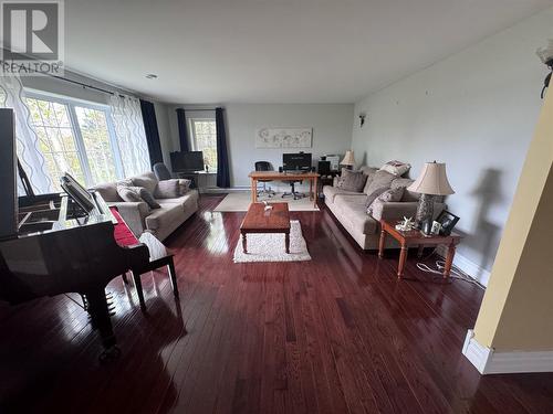 401A Main Street N, Glovertown, NL - Indoor Photo Showing Living Room