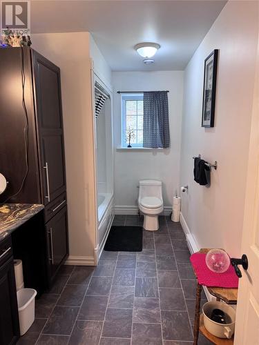 401A Main Street N, Glovertown, NL - Indoor Photo Showing Bathroom