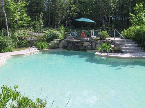 Piscine - 255 Ch. Des Cerfs, Mont-Tremblant, QC - Outdoor With In Ground Pool With Backyard