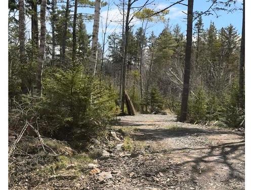 Lot 19 Russells Cove Road, Parkdale, NS 