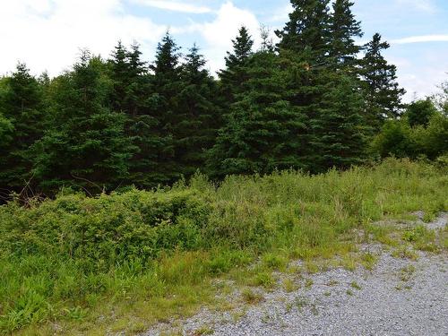 Lot 2 Portion Of 60169216 Blue Rocks Road, Garden Lots, NS 