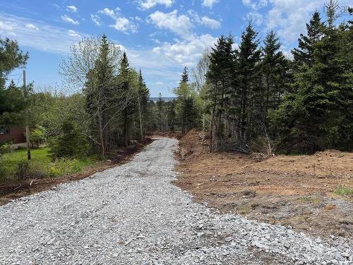 Lot 2 Portion Of 60169216 Blue Rocks Road, Garden Lots, NS 