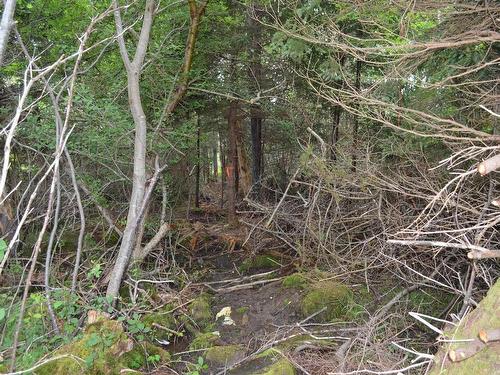 Lot 2 Portion Of 60169216 Blue Rocks Road, Garden Lots, NS 