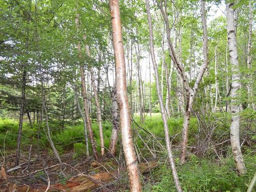 Lot 2 Portion Of 60169216 Blue Rocks Road, Garden Lots, NS 