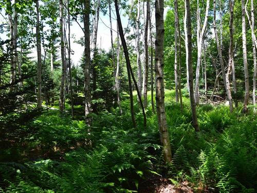 Lot 2 Portion Of 60169216 Blue Rocks Road, Garden Lots, NS 