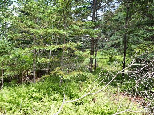 Lot 2 Portion Of 60169216 Blue Rocks Road, Garden Lots, NS 