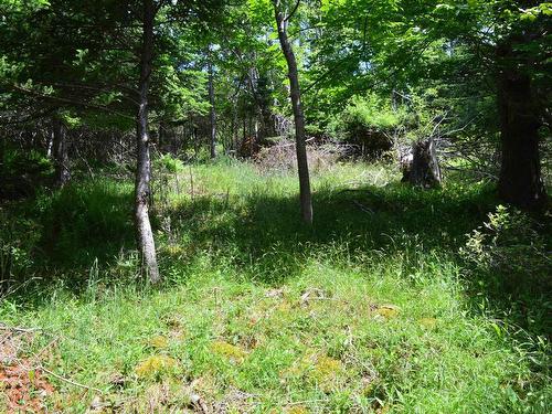 Lot 2 Portion Of 60169216 Blue Rocks Road, Garden Lots, NS 