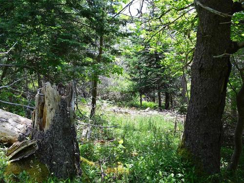 Lot 2 Portion Of 60169216 Blue Rocks Road, Garden Lots, NS 