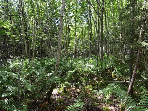 Lot 2 Portion Of 60169216 Blue Rocks Road, Garden Lots, NS 