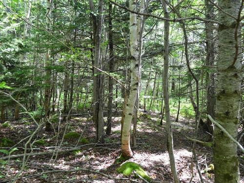 Lot 2 Portion Of 60169216 Blue Rocks Road, Garden Lots, NS 