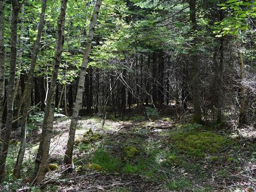 Lot 2 Portion Of 60169216 Blue Rocks Road, Garden Lots, NS 