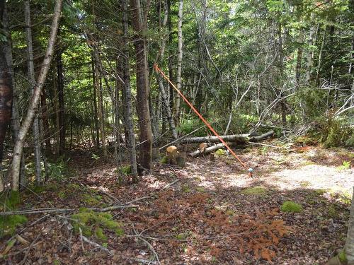 Lot 2 Portion Of 60169216 Blue Rocks Road, Garden Lots, NS 