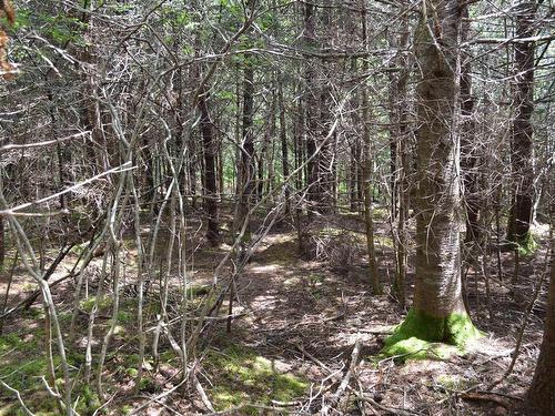 Lot 2 Portion Of 60169216 Blue Rocks Road, Garden Lots, NS 