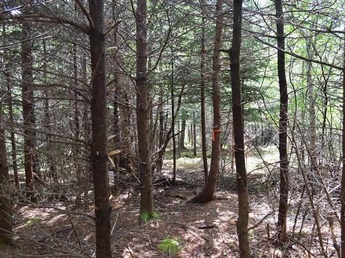 Lot 2 Portion Of 60169216 Blue Rocks Road, Garden Lots, NS 