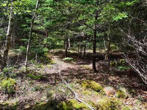 Lot 2 Portion Of 60169216 Blue Rocks Road, Garden Lots, NS 