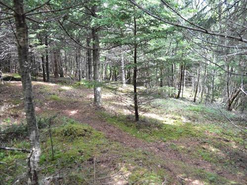 Lot 2 Portion Of 60169216 Blue Rocks Road, Garden Lots, NS 