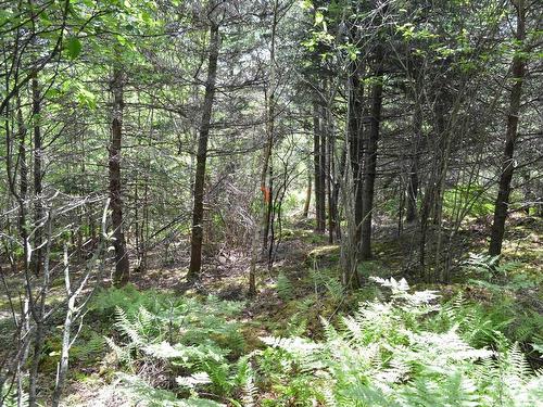 Lot 2 Portion Of 60169216 Blue Rocks Road, Garden Lots, NS 