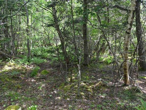 Lot 2 Portion Of 60169216 Blue Rocks Road, Garden Lots, NS 