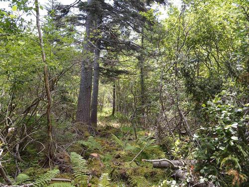 Lot 2 Portion Of 60169216 Blue Rocks Road, Garden Lots, NS 