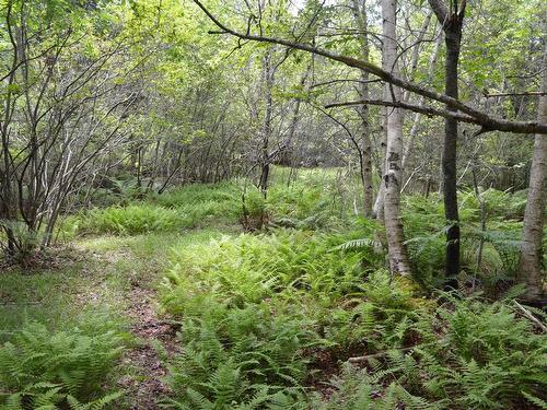 Lot 2 Portion Of 60169216 Blue Rocks Road, Garden Lots, NS 