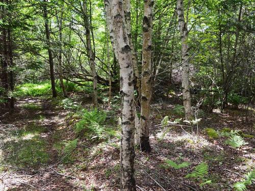 Lot 2 Portion Of 60169216 Blue Rocks Road, Garden Lots, NS 