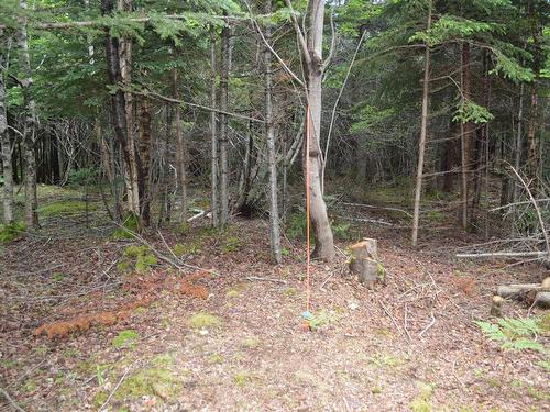 Lot 2 Portion Of 60169216 Blue Rocks Road, Garden Lots, NS 