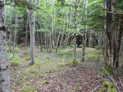 Lot 2 Portion Of 60169216 Blue Rocks Road, Garden Lots, NS 