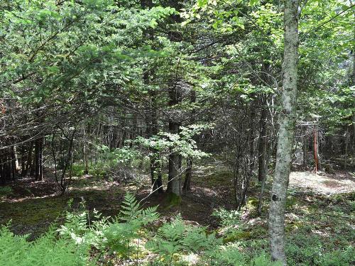 Lot 2 Portion Of 60169216 Blue Rocks Road, Garden Lots, NS 