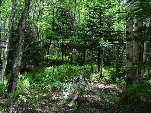 Lot 2 Portion Of 60169216 Blue Rocks Road, Garden Lots, NS 