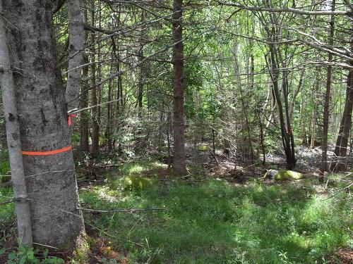 Lot 2 Portion Of 60169216 Blue Rocks Road, Garden Lots, NS 